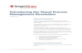 Visual Process Management (VPM)