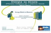 Introduzione "Energia su misura" ( abbigliamento, audit energetici,autovalutazione,diagnosi,efficienza energetica, energy monitoring systems,energy to measure,industria,low-carbon,risparmio