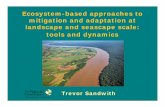 Ecosystem-based approaches to mitigation and adaptation at landscape and seascape scale: tools and dynamics