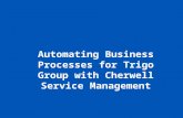 Automating Business Processes for Trigo Group with Cherwell Service Management