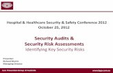 Security Audits and Security Risk Assessments
