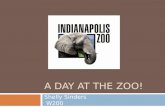 C:\Users\Shelly\Documents\A Day At The Zoo!