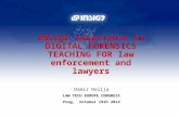 INsig2 experience in DIGITAL FORENSICS TEACHING FOR law enforcement and lawyers