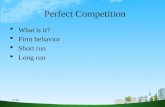 Bec doms ppt on   perfect competition