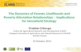 The Dynamics of Forests, Livelihoods and Poverty Alleviation Relationships – Implications for Household Strategy by Thabbie Chilongo