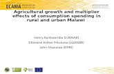 Agricultural growth and multiplier effects of consumption spending in rural and urban Malawi by Henry Kankwamba,