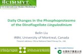 Daily changes in the phosphoproteome of the dinoflagellate Lingulodinium