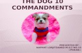Dog 10 commandments