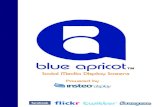 Blue Apricot Social Media Network Display System 1