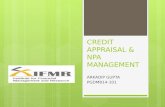 Credit appraisal & npa management  at IOB