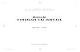 Bazele tirului cu arcul - introducere si primul capitol