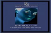Dr Robert A. Guida Rhinology Overview