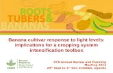 Banana cultivar response to light levels: implications for a cropping system intensification toolbox