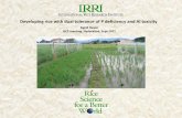GRM 2011: Rice with dual strength -- Phosphorus uptake efficiency and alumunium tolerance