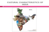 Cultural Characteristics of India