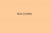 Mukidoma - our partner school in Tanzania