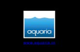 Aquarium, South American Cichlid Fish Aquarium for sale Chennai,India