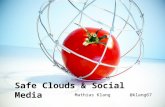 Safe Clouds & Social Media