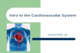 Intro to the Cardiovascular System