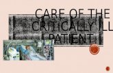 Care of the critically ill patient student