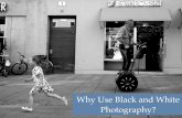 Black and White Photography - Anthony Nicholas Gallo