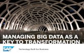 Managing big data as a key to transformation