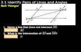 3.1 identify pairs of lines and angles