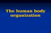Unit 1- The organisation of the human body. Biology 3º ESO