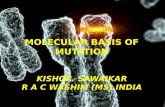Molecular basis of mutation by  kss
