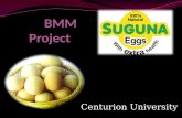 Suguna eggs a project report