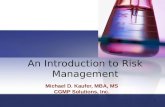 An Introduction To Risk Management   Professional Societies