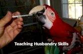Teaching husbandry skills