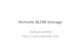 Remote Blob Storage in SharePoint 2010