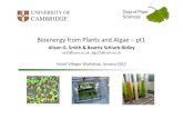 Cambridge | Jan-14 | Bioenergy from Plants and Algae: Plant Biomass and Algae - pt 1