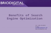 Benefits of Search Engine Optimization