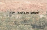 Palm tree christians