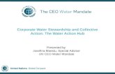 Corporate Water Stewardship and Collective Action: The Water Action Hub