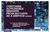 Customer actionable insights from big data as a service