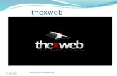 Top 5 companies of India | thexweb punjab