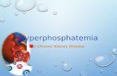 Hyperphosphatemia in CKD