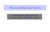Microsoft Biz Talk Server