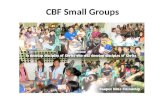 Intro to cbf small groups