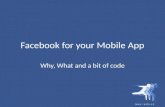 Facebook developer garage   mobile & facebook