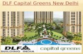 Dlf capital greens
