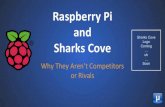 Stop Comparing the Raspberry Pi and Sharks Cove