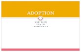 The Adoption Option
