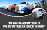 Get rid of transport troubles with expert trucking services in Hawaii