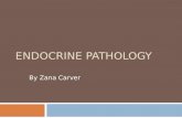 Endocrine pathology