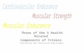 Health Components of Fitness