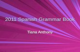 2011 spanish grammar book